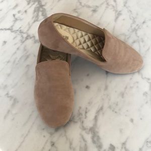 The Starling by Birdies